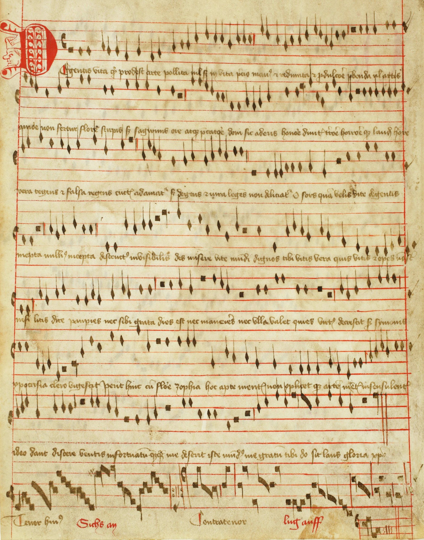 Abb. Wiener Codex