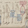 Abb. Neidhartsche Figuren im Dörpertanz der Wiener Tuschezeichnung